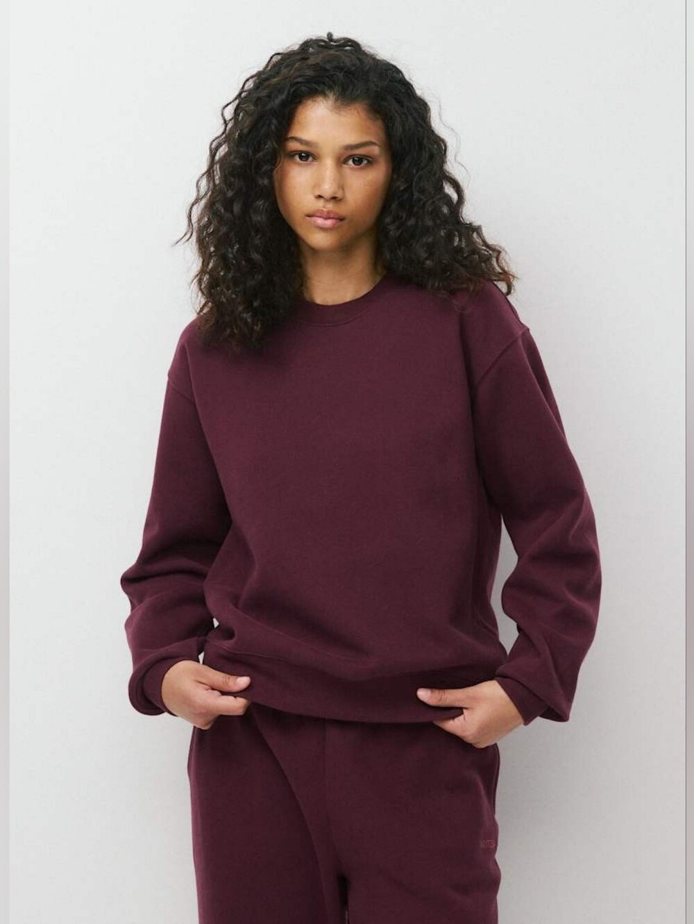 aritzia perfect fit sweatfleece crewneck